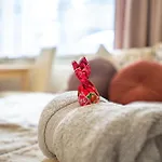 Tanie Standard Basic W Szklarskiej Porebie Accommodatie bij particulieren *