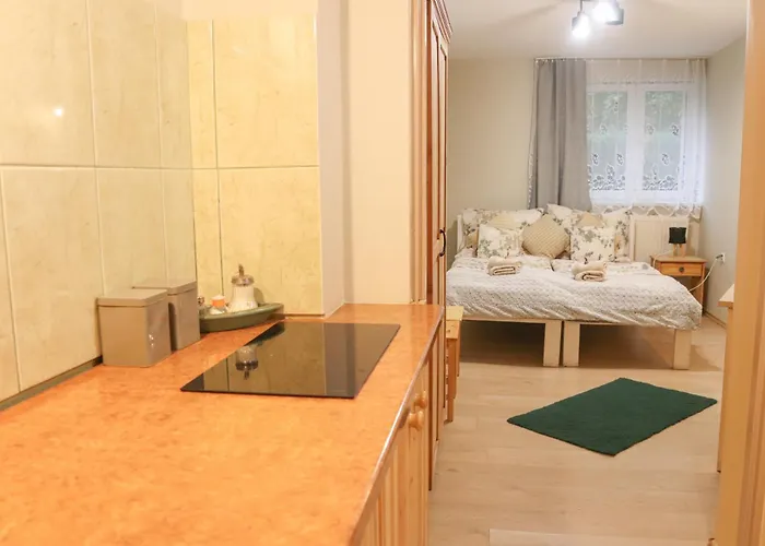 Privat bolig Tanie Standard Basic W Szklarskiej Porebie *